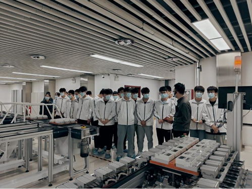 河南網絡技術服務蓬勃發展，助力數字強省建設邁入新階段